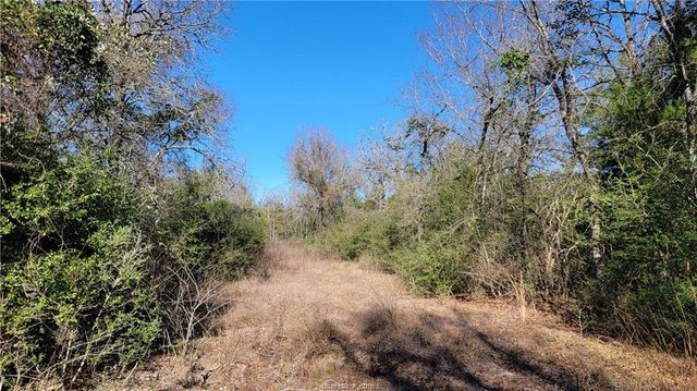 Lot 36 High Meadow Trail, Franklin, TX 77856