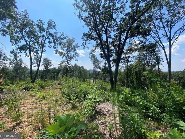 1084 Highgrove Drive 276, Talking Rock, GA 30175