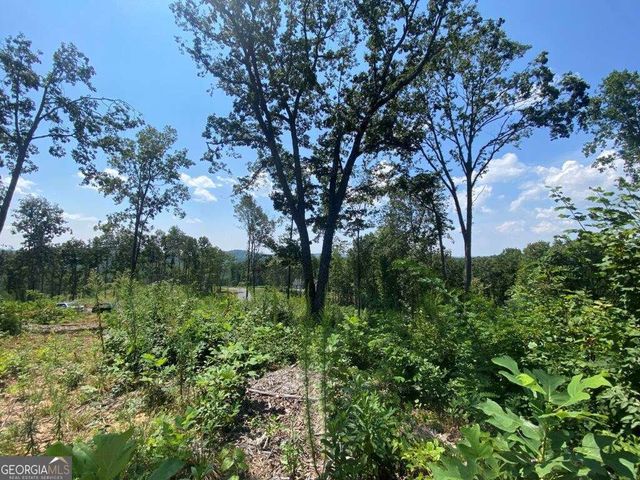 1084 Highgrove Drive 276, Talking Rock, GA 30175
