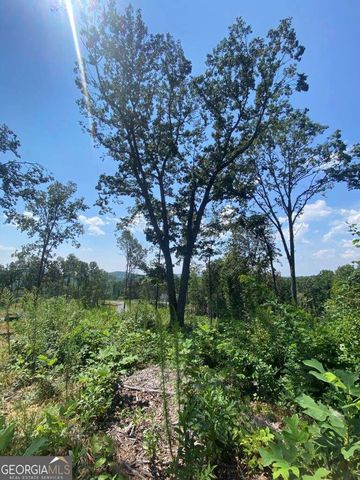 1084 Highgrove Drive 276, Talking Rock, GA 30175
