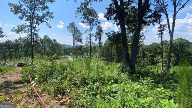1084 Highgrove Drive 276, Talking Rock, GA 30175