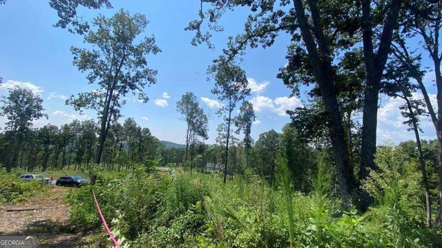 1084 Highgrove Drive 276, Talking Rock, GA 30175