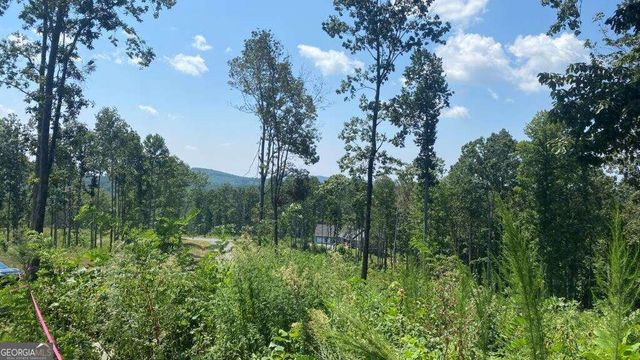 1084 Highgrove Drive 276, Talking Rock, GA 30175