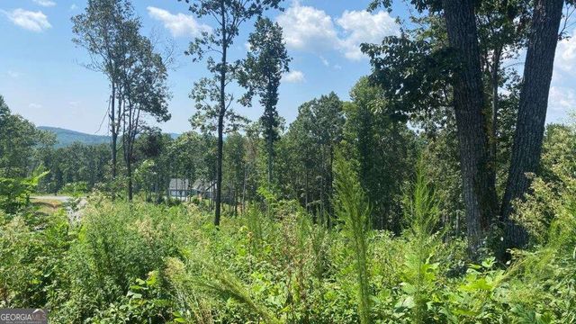 1084 Highgrove Drive 276, Talking Rock, GA 30175