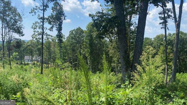 1084 Highgrove Drive 276, Talking Rock, GA 30175