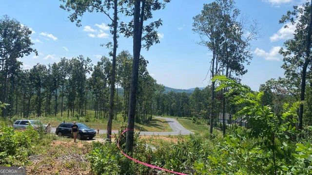 1084 Highgrove Drive 276, Talking Rock, GA 30175