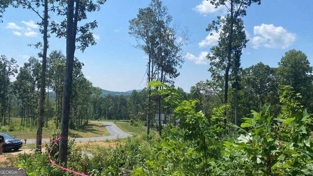 1084 Highgrove Drive 276, Talking Rock, GA 30175