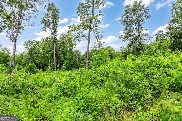 1084 Highgrove Drive 276, Talking Rock, GA 30175