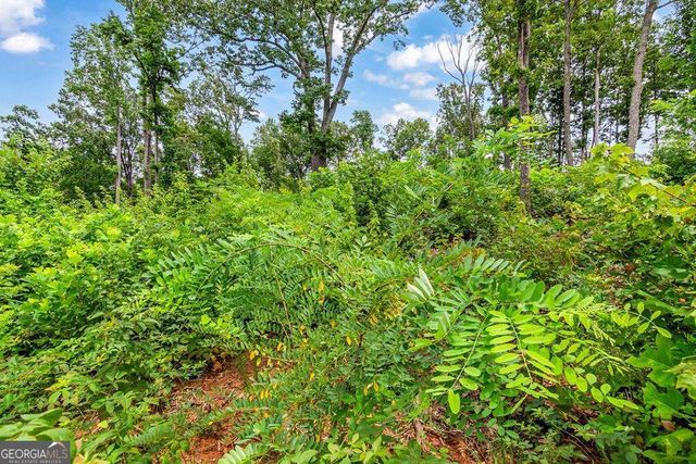 1084 Highgrove Drive 276, Talking Rock, GA 30175