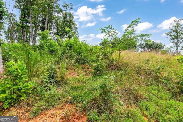 1084 Highgrove Drive 276, Talking Rock, GA 30175