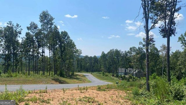 1084 Highgrove Drive 276, Talking Rock, GA 30175