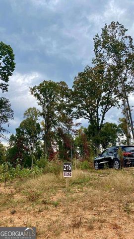 1084 Highgrove Drive 276, Talking Rock, GA 30175