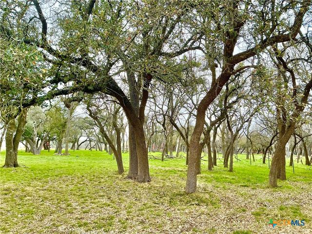 2501 County Road 228, Florence, TX 76527