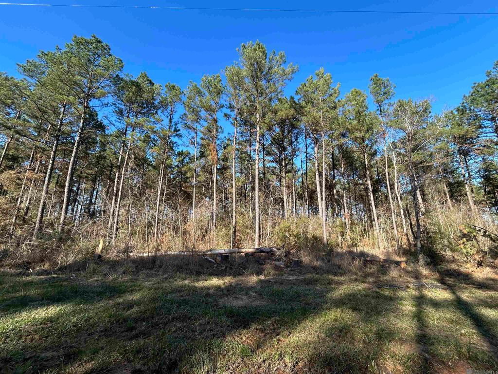Lot 15 Butterbean Ridge, Livingston, LA 70754