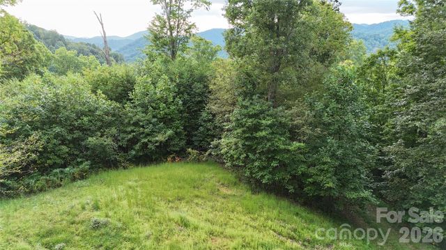 200 and 201 Fern Hill Drive, Mars Hill, NC 28754