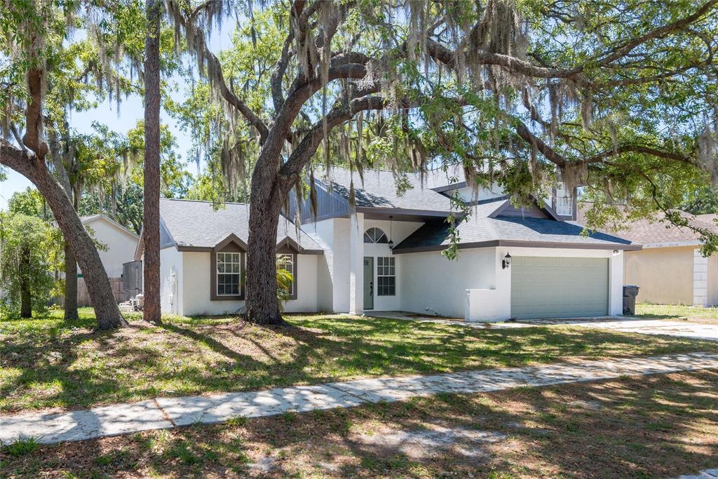 4002 QUAIL BRIAR DRIVE, Valrico, FL 33596