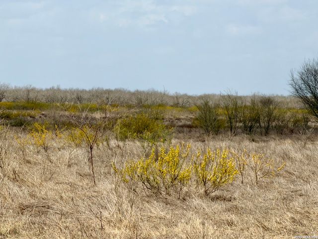 1550 County Road 300, Jourdanton, TX 78026