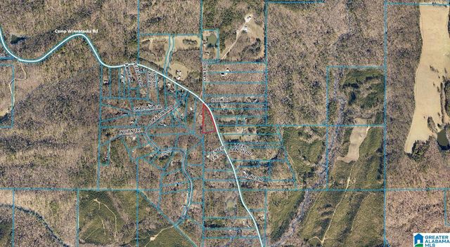 0 CAMP WINNATASKA ROAD, Pell City, AL 35128