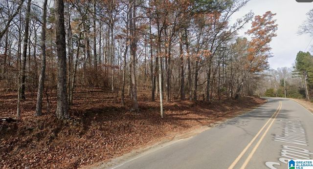 0 CAMP WINNATASKA ROAD, Pell City, AL 35128