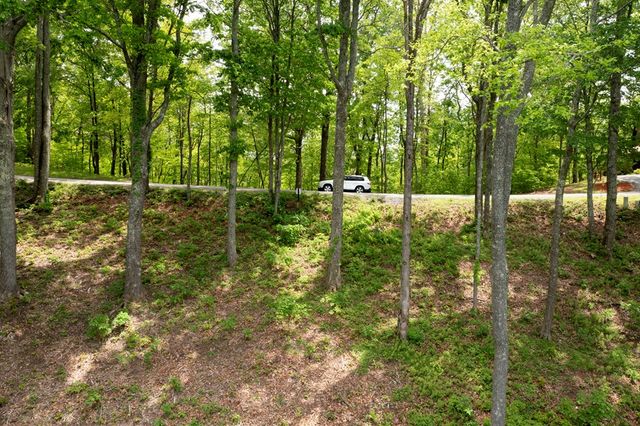 LT 61 Wilderness Creek Way, Murphy, NC 28906