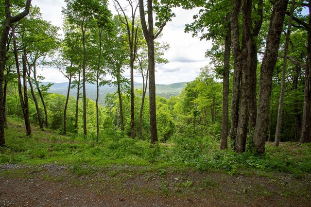 LT 61 Wilderness Creek Way, Murphy, NC 28906