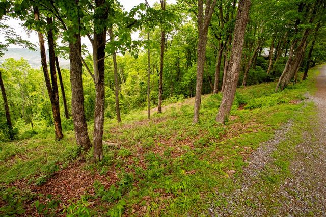 LT 61 Wilderness Creek Way, Murphy, NC 28906