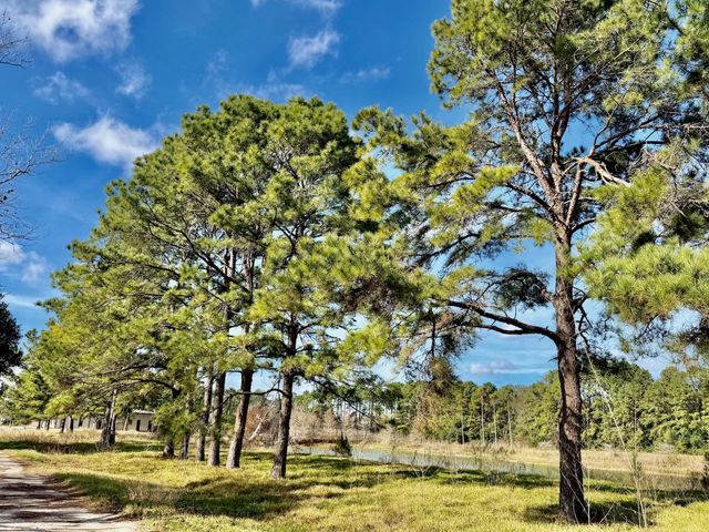 851 County Road 149, Alvin, TX 77511