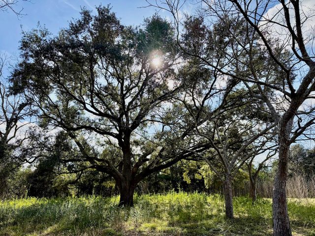 851 County Road 149, Alvin, TX 77511