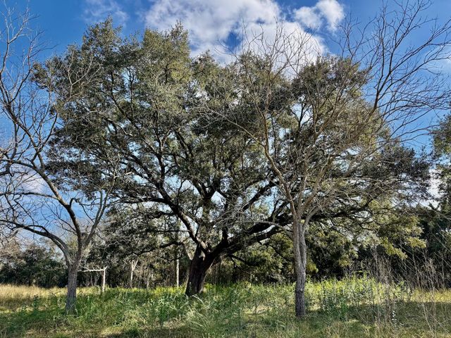851 County Road 149, Alvin, TX 77511