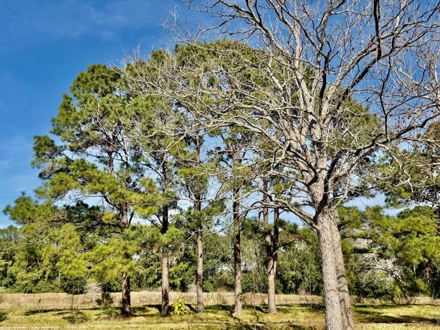 851 County Road 149, Alvin, TX 77511