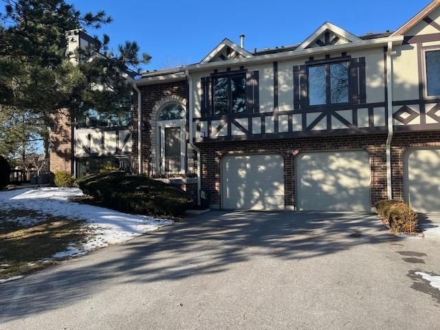 9334 DRUMMOND Drive 9334, Tinley Park, IL 60487