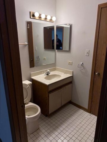 9334 DRUMMOND Drive 9334, Tinley Park, IL 60487