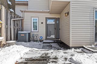 138 Ruth Street N 9, Saint Paul, MN 55119