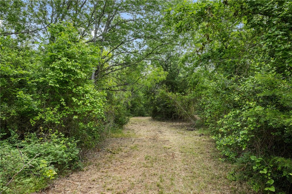 3797 County Road 328, Caldwell, TX 77836 — photo 2