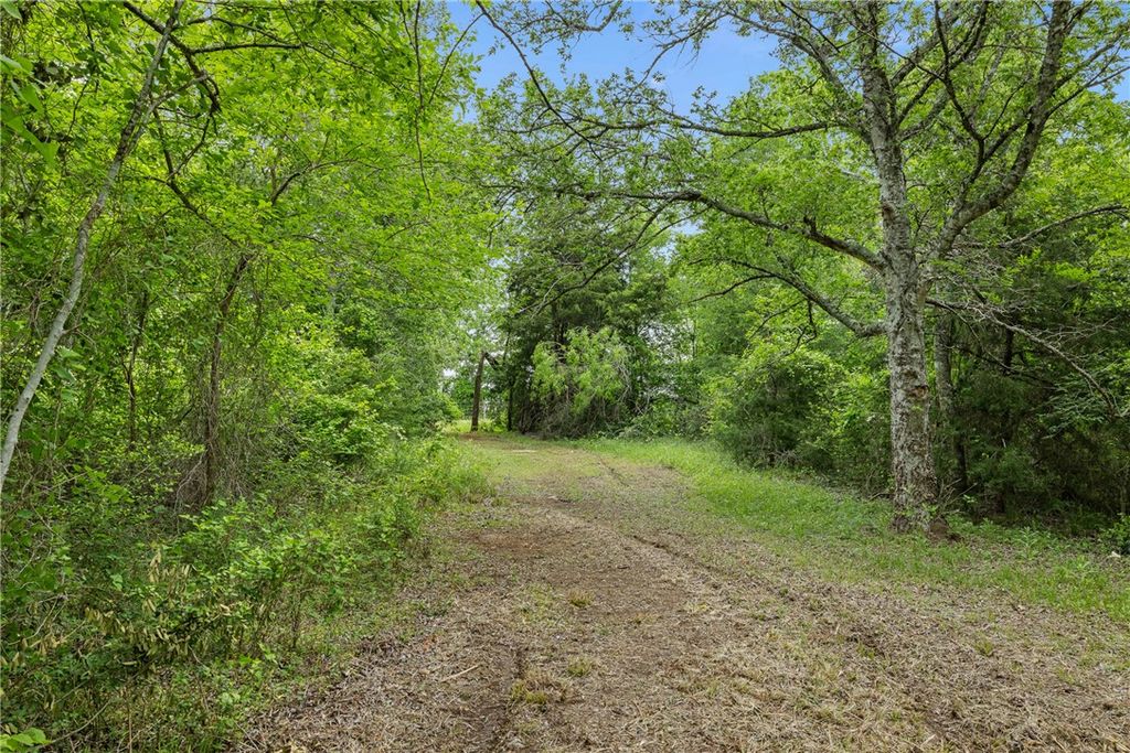 3797 County Road 328, Caldwell, TX 77836 — photo 4