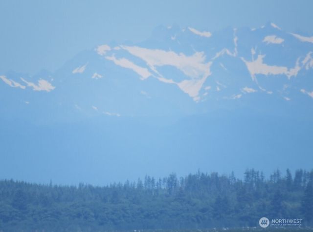 317 Captain Gray Court SE, Ocean Shores, WA 98569