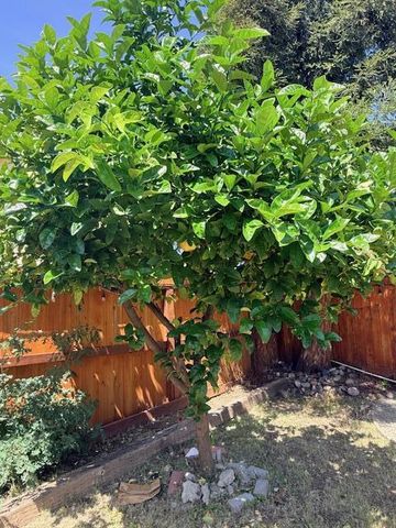 3730 Rolling Hills Drive, Pittsburg, CA 94565