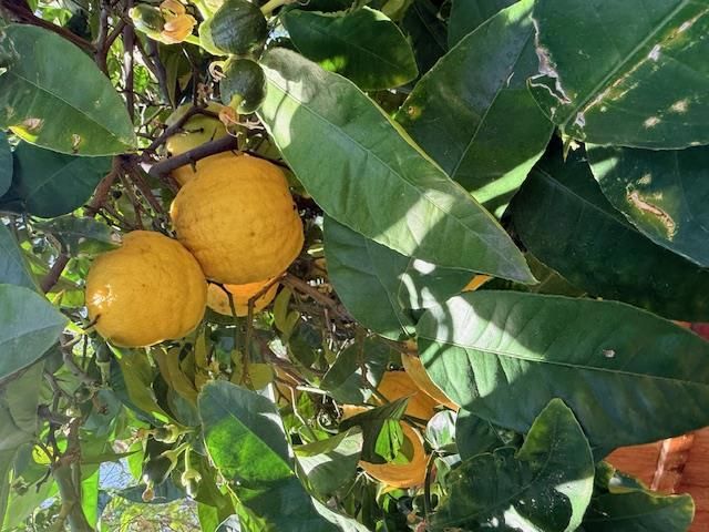 3730 Rolling Hills Drive, Pittsburg, CA 94565