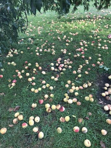 2795 S Range Road, Knox, IN 46534