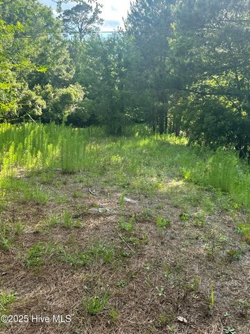 0000 Hubert Boulevard, Hubert, NC 28539