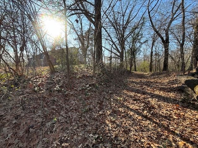 377 N HOUSTON LEVEE RD, Unincorporated, TN 38018