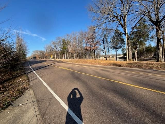 377 N HOUSTON LEVEE RD, Unincorporated, TN 38018