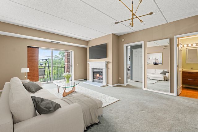 470 W Mahogany Court 408, Palatine, IL 60067