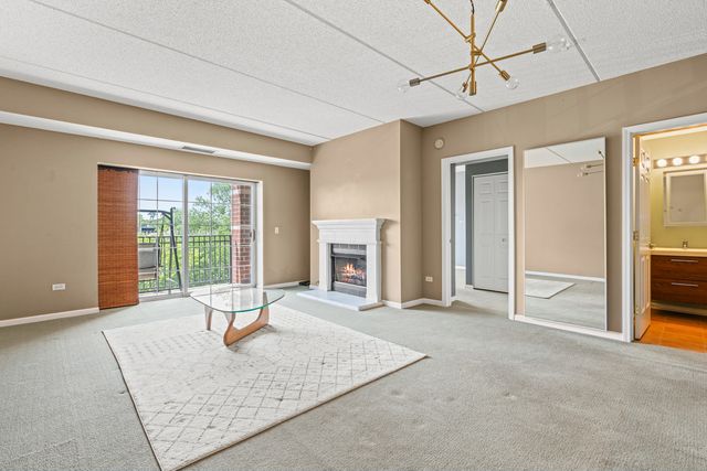 470 W Mahogany Court 408, Palatine, IL 60067