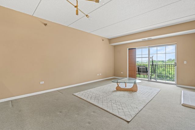 470 W Mahogany Court 408, Palatine, IL 60067