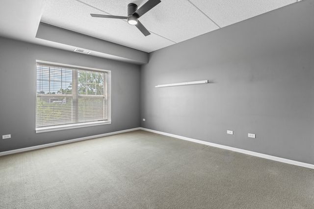 470 W Mahogany Court 408, Palatine, IL 60067