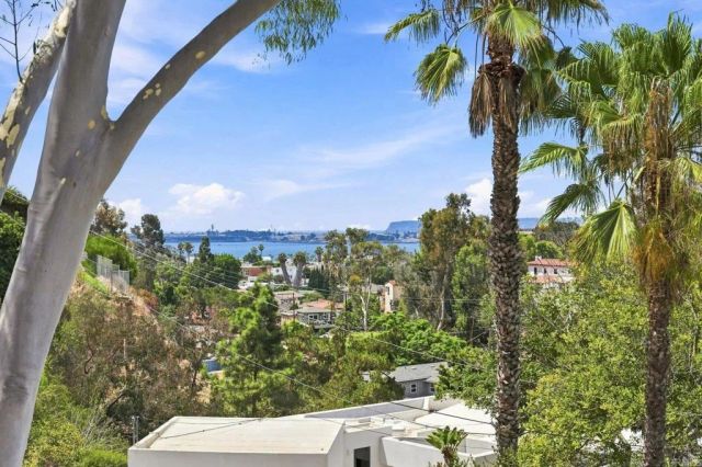 2871 Brant Street, San Diego, CA 92103