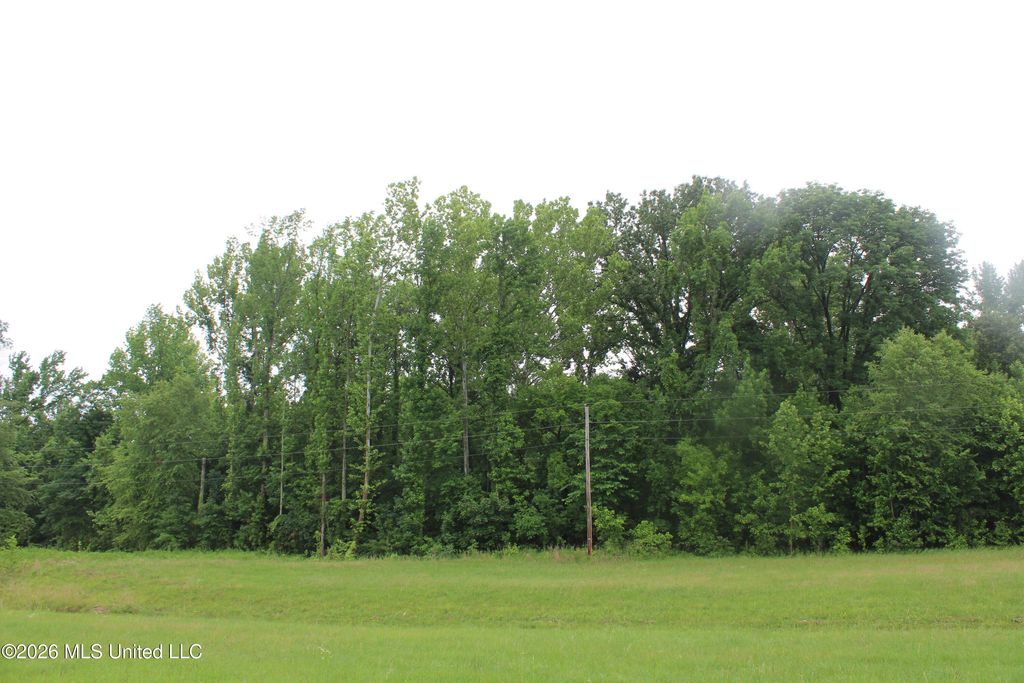 5 Eason Farm Road, Byhalia, MS 38611 — photo 4