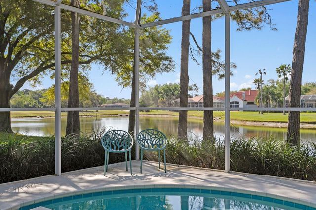 18008 PINNACLE COURT, Tampa, FL 33647