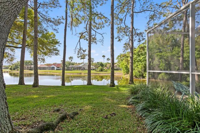 18008 PINNACLE COURT, Tampa, FL 33647